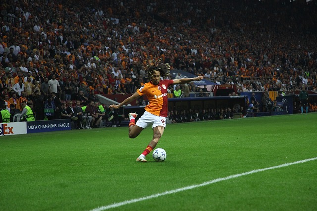 马克西曼的 马克西曼的