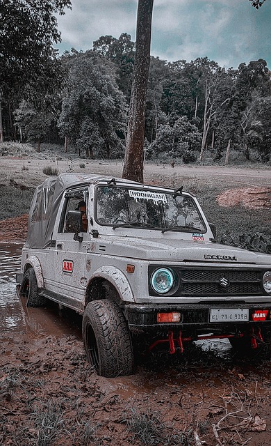 能带来心理 能带来心理