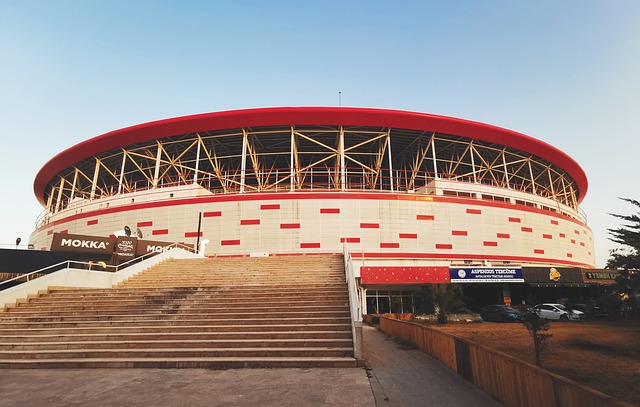 赛不仅展示 赛不仅展示