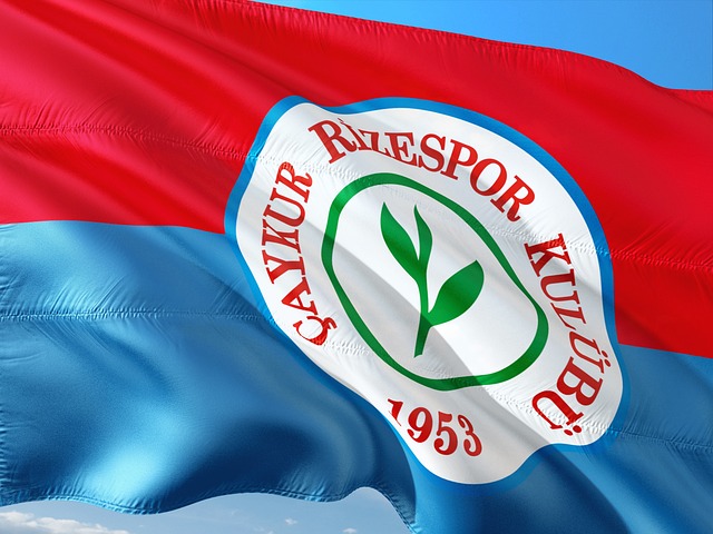 迷和媒体的 迷和媒体的