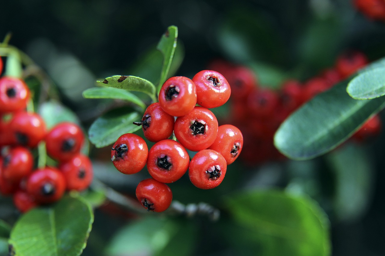 许多市区和 许多市区和