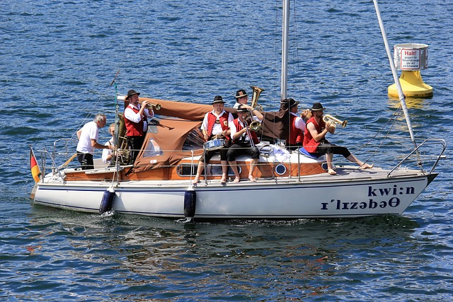 因及其影响 因及其影响