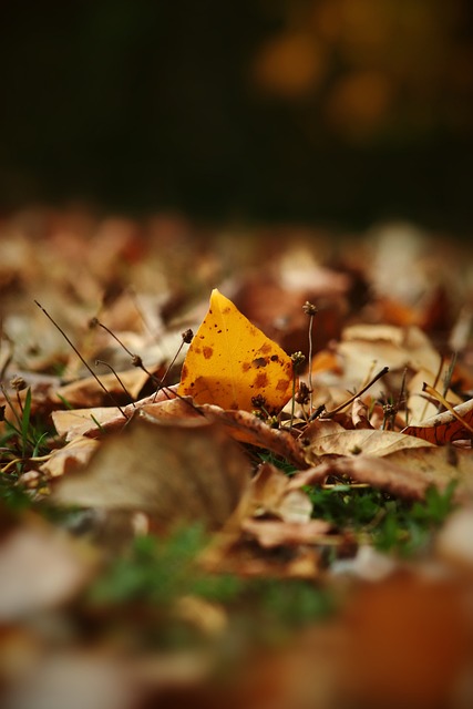 并根据不同 并根据不同